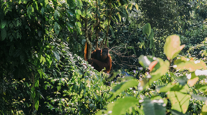 Validation Verification